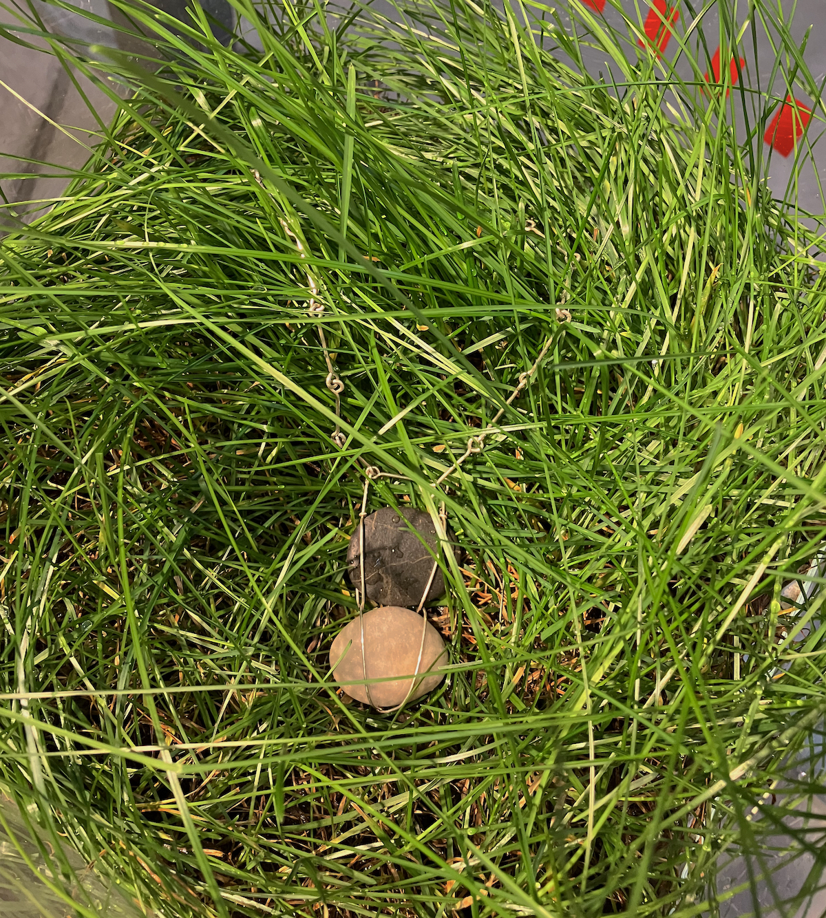 Four Elements: Earth